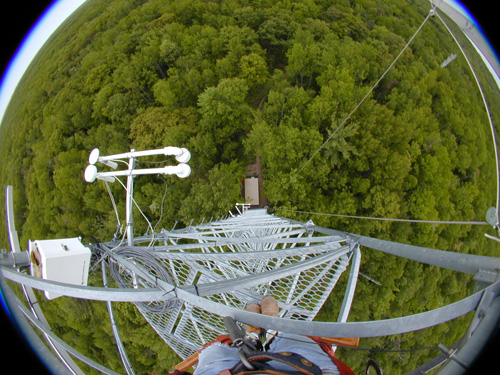 Above the forest canopy: looking down at the trees from a Michigan eddy-covariance tower.: Photograph by Chris Vogel